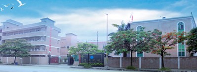 pg电子模拟器com